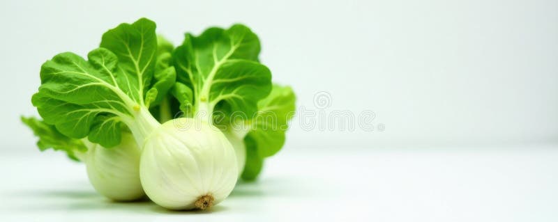 Vibrant grön kohlrabi leafy greens pristine white back texture delicious culinary stock illustrationer