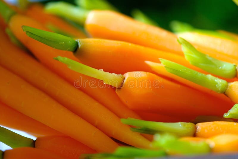 Vibrant miniature carrots