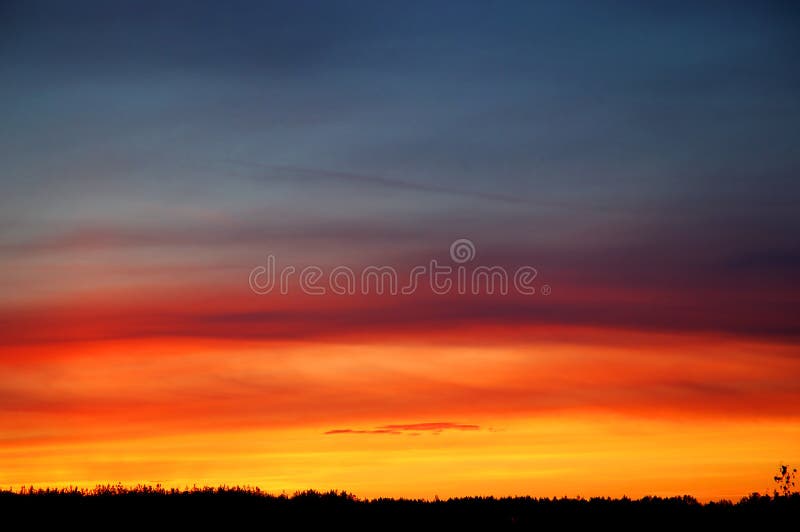 Vibrant orange sunset