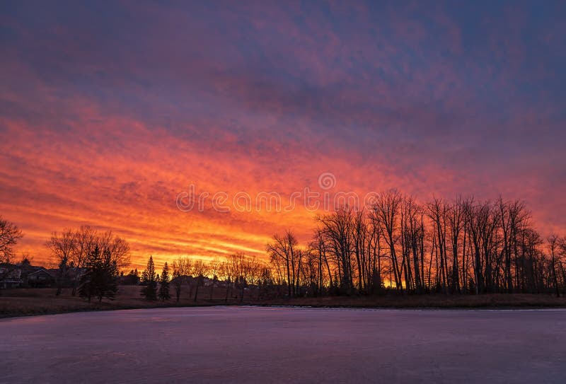 Vibrant Sunrise Glowing Over A Frozen Park Lake Stock Image Image Of