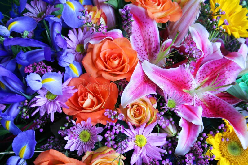 Vibrierender Blumenstrauß der Blumen stockfotos