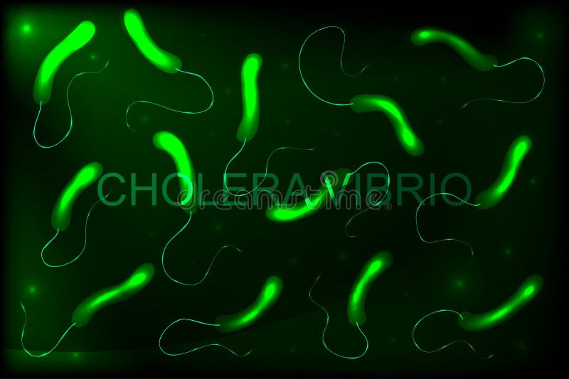 Vibrión del cólera bacterias stock de ilustración Vibrión del cólera bacterias stock de ilustración