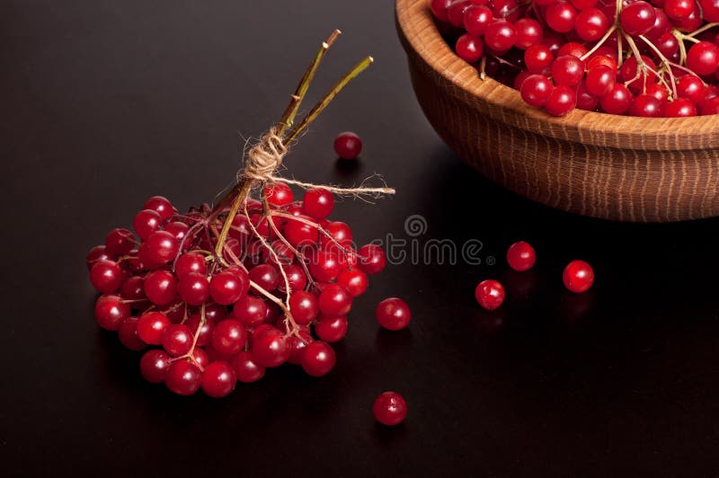 Viburnum Berries Background Stock Image Image of harvest, eating 21541539