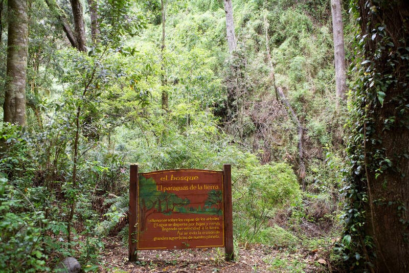Vicente Perez Rosales National Park, Chili photographie stock Vicente Perez Rosales National Park, Chili photographie stock
