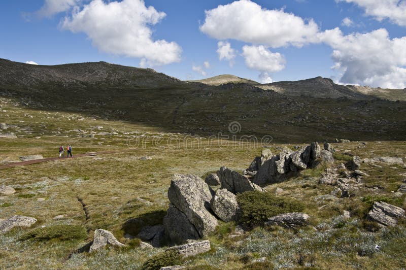Vicinot del supporto Kosciuszko. Austaralia. fotografia stock libera da diritti Vicinot del supporto Kosciuszko. Austaralia. fotografia stock libera da diritti