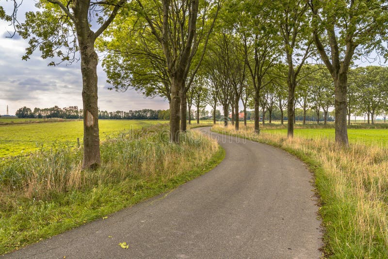 Vicolo dell'albero lungo una vecchia strada campestre curva fotografie stock libere da diritti Vicolo dell'albero lungo una vecchia strada campestre curva fotografie stock libere da diritti