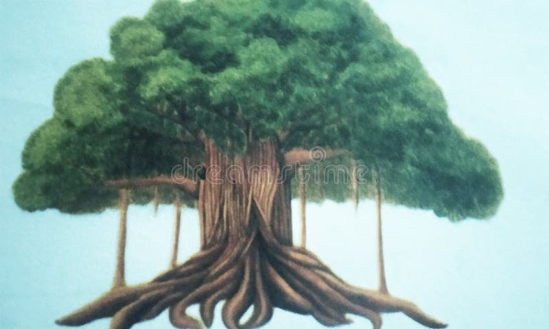 Banyan Tree Stock Illustrations – 771 Banyan Tree Stock Illustrations, Vectors & Clipart - Dreamstime Banyan Tree Stock Illustrations – 771 Banyan Tree Stock Illustrations, Vectors & Clipart - Dreamstime