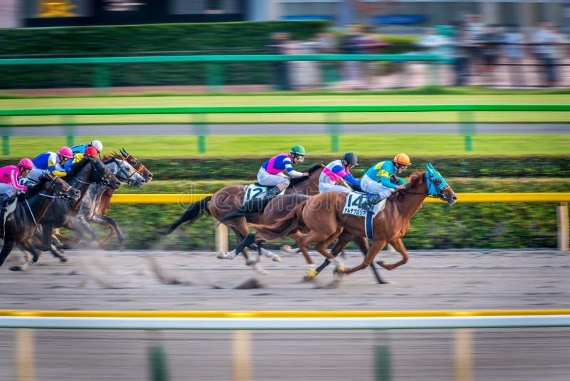 Winning moment of jockey in Tokyo horse racing tournament, Japan. Winning moment of jockey in Tokyo horse racing tournament, Japan