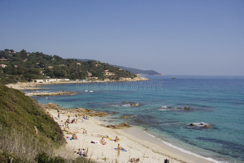 Vida na praia fotografia de stock royalty free