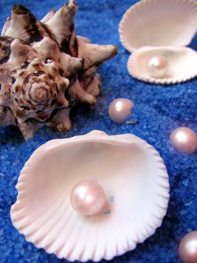 Pearls and shells placed on blue sand. Pearls and shells placed on blue sand