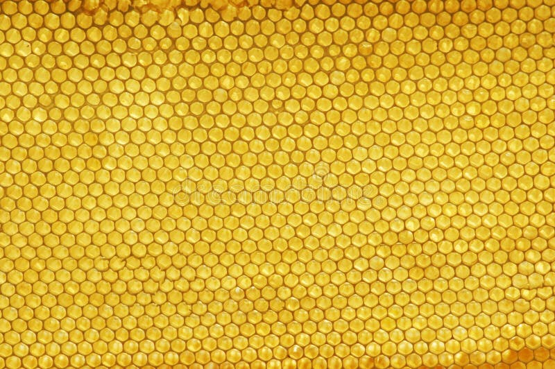 Texture. Honeycomb at the apiary,. Texture. Honeycomb at the apiary,