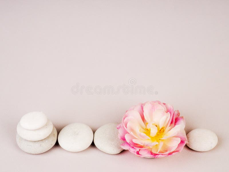 Vida en balneario con piedras y flores zen, armonía y equilibrio, cavernas, piedras de color rosa sobre fondo gris, escultura zen fotos de archivo libres de regalías Vida en balneario con piedras y flores zen, armonía y equilibrio, cavernas, piedras de color rosa sobre fondo gris, escultura zen fotos de archivo libres de regalías