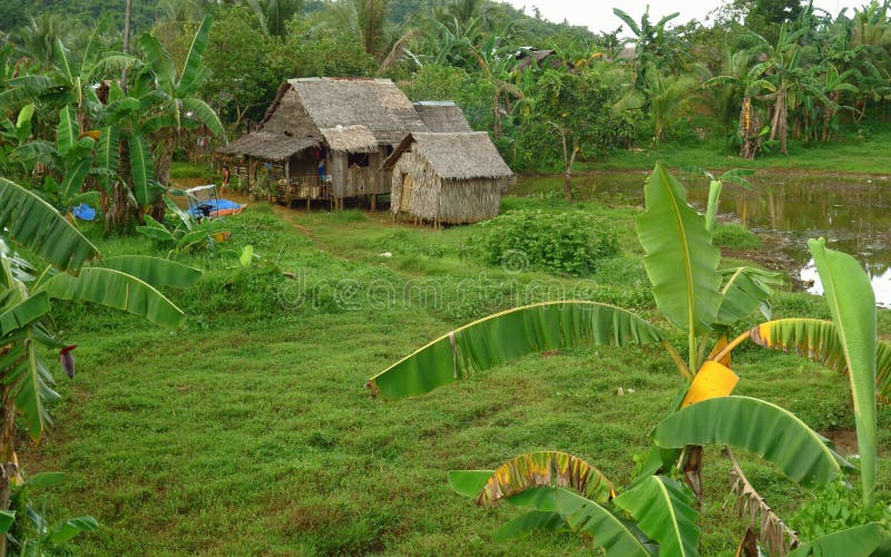 Vida en el campo filipino imagen de archivo editorial. Imagen de charca
