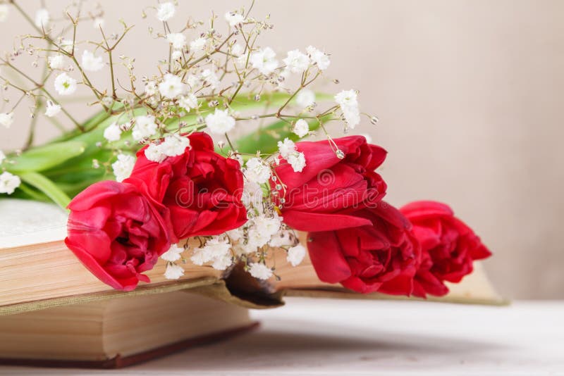 Vida inmóvil del vintage con los tulipanes rojos de una primavera y libros en un fondo beige El día de madre, concepto del día de foto de archivo libre de regalías Vida inmóvil del vintage con los tulipanes rojos de una primavera y libros en un fondo beige El día de madre, concepto del día de foto de archivo libre de regalías