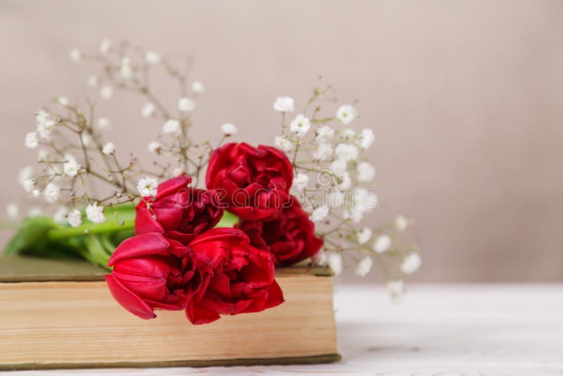 Vida inmóvil del vintage con tulipanes rojos de una primavera y un libro en un fondo beige El día de madre, concepto del día de l fotos de archivo libres de regalías Vida inmóvil del vintage con tulipanes rojos de una primavera y un libro en un fondo beige El día de madre, concepto del día de l fotos de archivo libres de regalías
