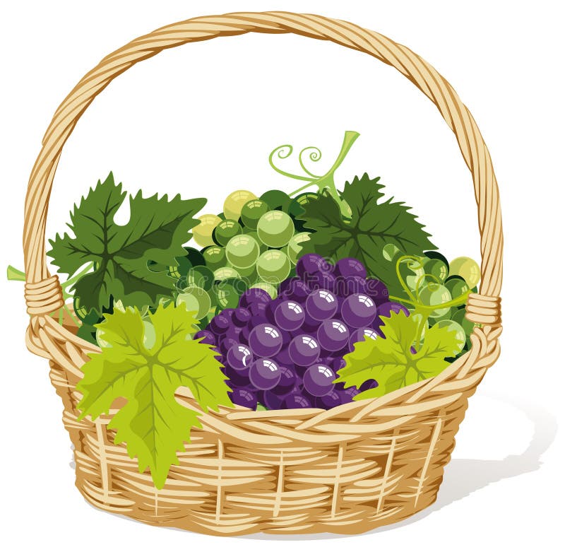 Vide- korg av druvor royaltyfri illustrationer