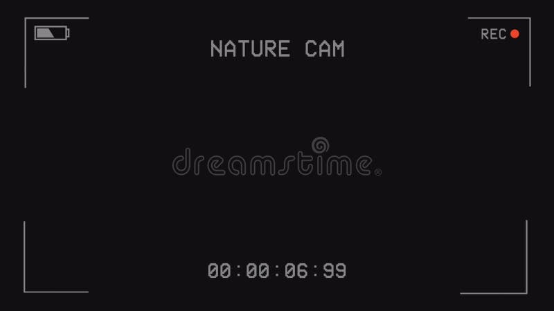 Video Camera Recording Screen Black Background 4K Animation. Camera Digital Viewfinder Recording Preview Screen With Function stock video footage
