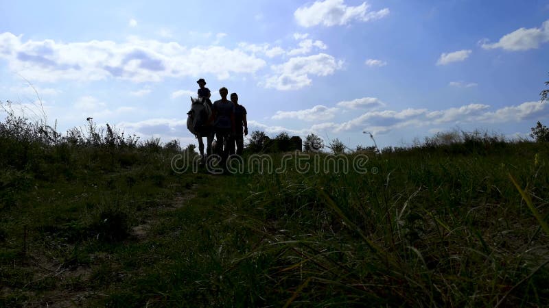 Video de gente a la sombra caminando sobre un caballo. El concepto de camping familiar, equitaciÃ³n e hippoterapia. Silueta oscura
