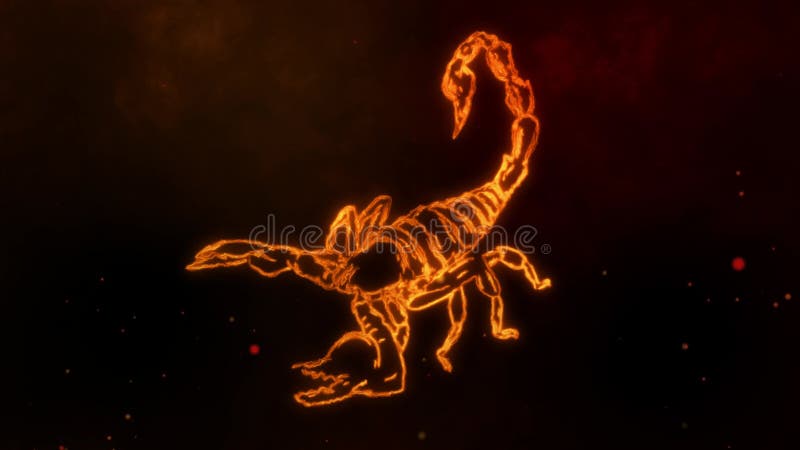 Download Scorpion Designs HD 4K 2020 iPhone Pics Wallpaper - GetWalls.io