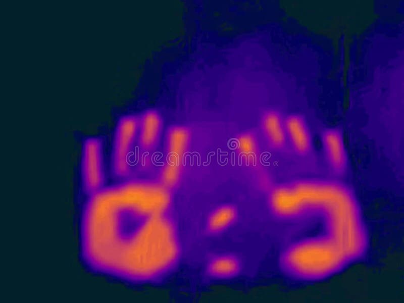 Heat Transfer Pipes and Water in the Technical Room of the Building