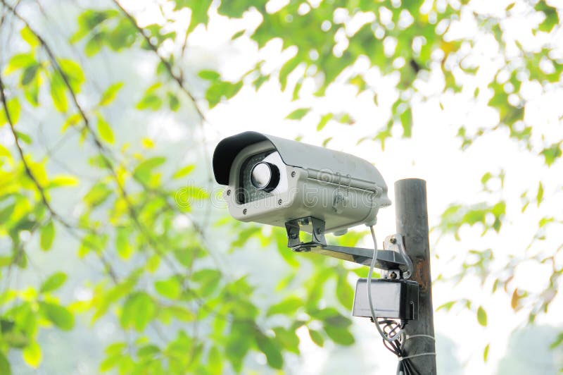 Security surveillance camera in the forest. Security surveillance camera in the forest.