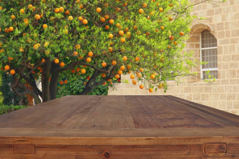 Videz la table rustique devant le fond d'arbre orange de campagne photographie stock Videz la table rustique devant le fond d'arbre orange de campagne photographie stock