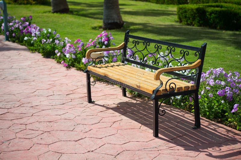 Videz le banc en bois près de l'herbe verte, belles fleurs en parc photos stock Videz le banc en bois près de l'herbe verte, belles fleurs en parc photos stock