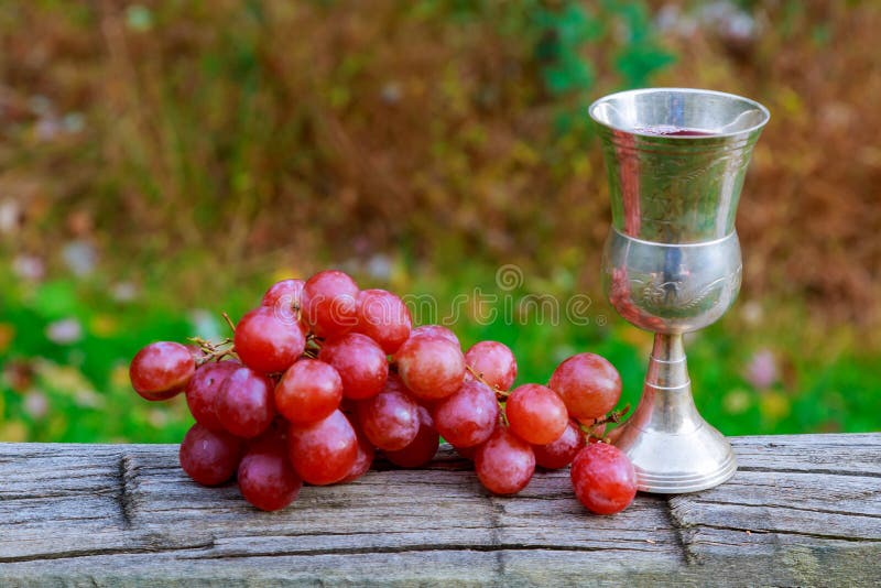 Vidrio de días de fiesta judíos del vino y de las uvas imagen de archivo Vidrio de días de fiesta judíos del vino y de las uvas imagen de archivo