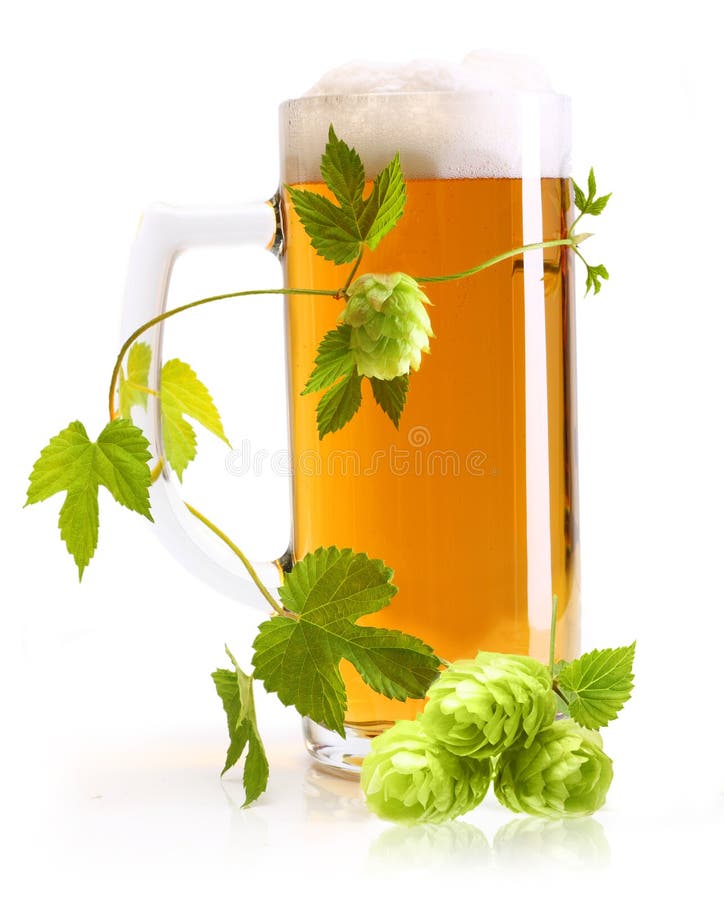 Vidrio de la cerveza y del salto foto de archivo libre de regalías Vidrio de la cerveza y del salto foto de archivo libre de regalías