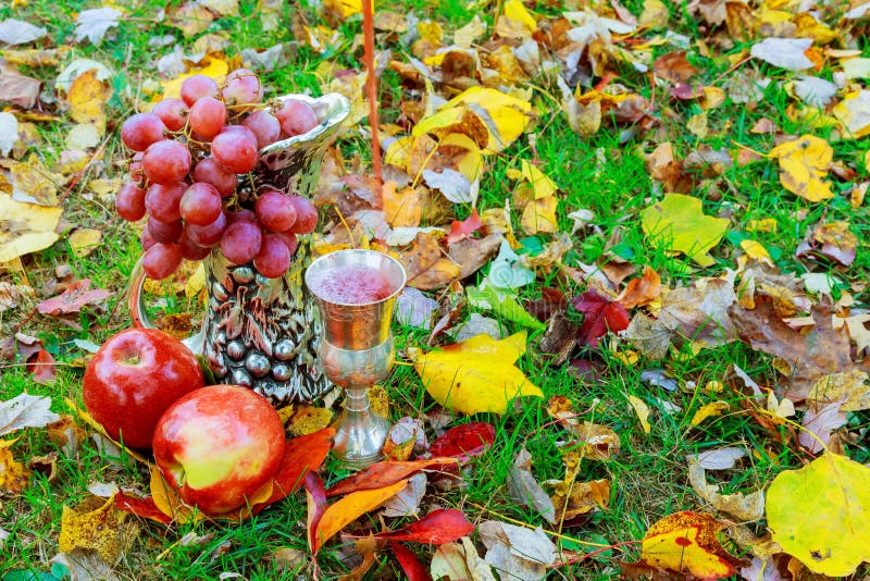 vidrio de las uvas de vino de días de fiesta judíos fotografía de archivo libre de regalías vidrio de las uvas de vino de días de fiesta judíos fotografía de archivo libre de regalías