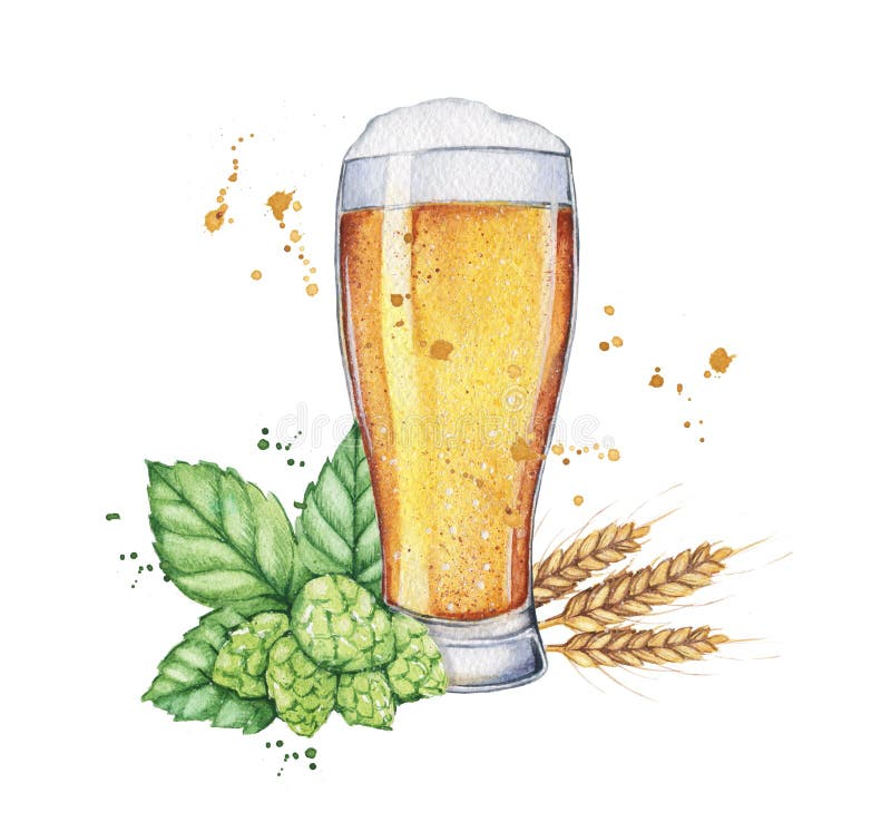 Vidrio y botella de cerveza de la acuarela ilustración del vector Vidrio y botella de cerveza de la acuarela ilustración del vector