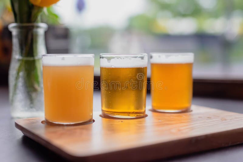 Vidrios fríos de cerveza alineados para probar imagenes de archivo Vidrios fríos de cerveza alineados para probar imagenes de archivo