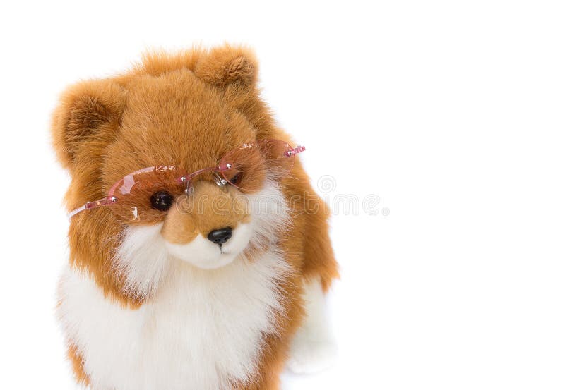 Vidrios que llevan del perro del carro en el fondo blanco imágenes de archivo libres de regalías Vidrios que llevan del perro del carro en el fondo blanco imágenes de archivo libres de regalías