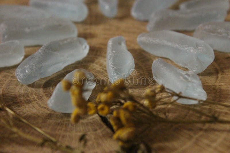 Fotos de stock royalty free.