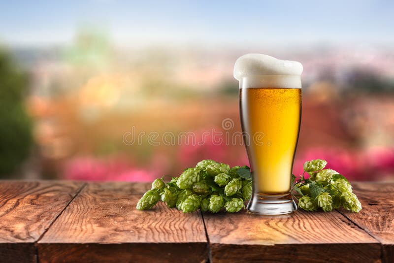 Vidro com cerveja e lúpulo em uma tabela de madeira imagem de stock Vidro com cerveja e lúpulo em uma tabela de madeira imagem de stock