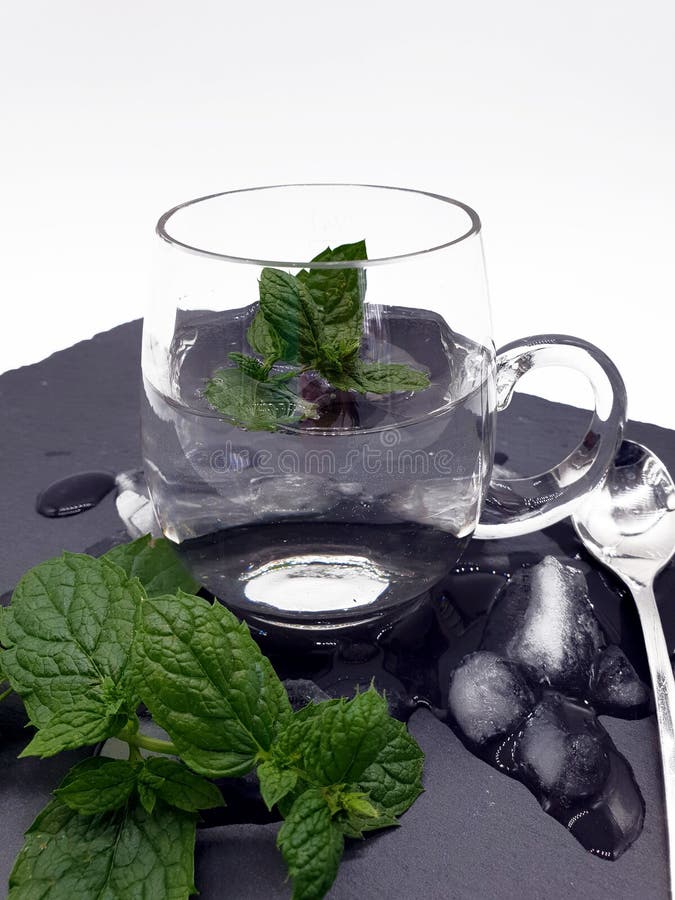 Vidro com água e a hortelã fresca no gelo fotografia de stock royalty free