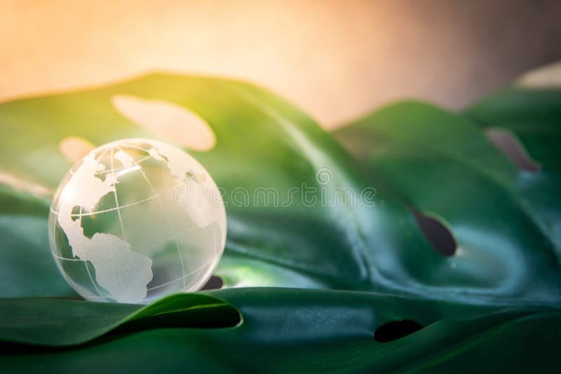 Vidro cystal do globo do mundo na folha verde imagens de stock royalty free Vidro cystal do globo do mundo na folha verde imagens de stock royalty free