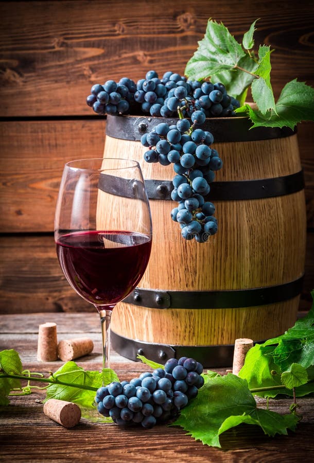 Vidro do vinho vermelho e das uvas fotos de stock Vidro do vinho vermelho e das uvas fotos de stock