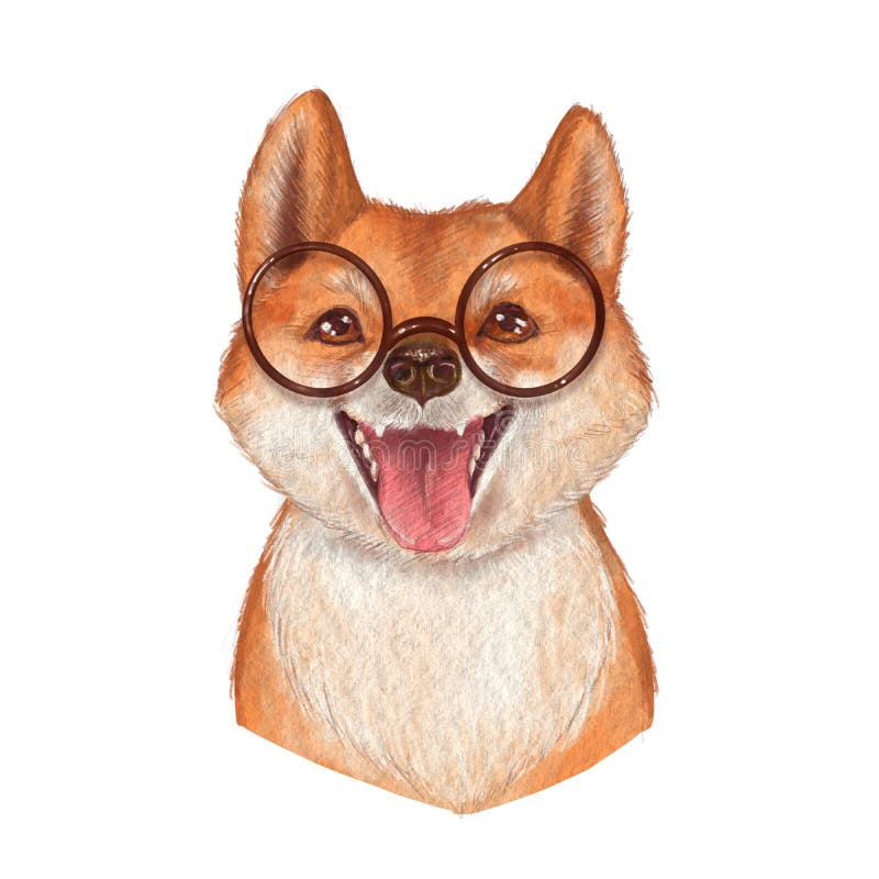 Vidros vestindo do cão bonito, isolados no fundo branco ilustração stock Vidros vestindo do cão bonito, isolados no fundo branco ilustração stock