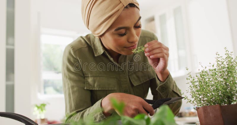 Vidéo d'une femme biraciale heureuse dans des herbes odorantes de hijab banque de vidéos