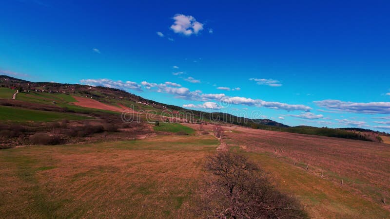 Vidéo verticale FPV drone vue banque sur des champs verts vibrants et campagne ondulante sous ciel bleu vif avec banque de vidéos