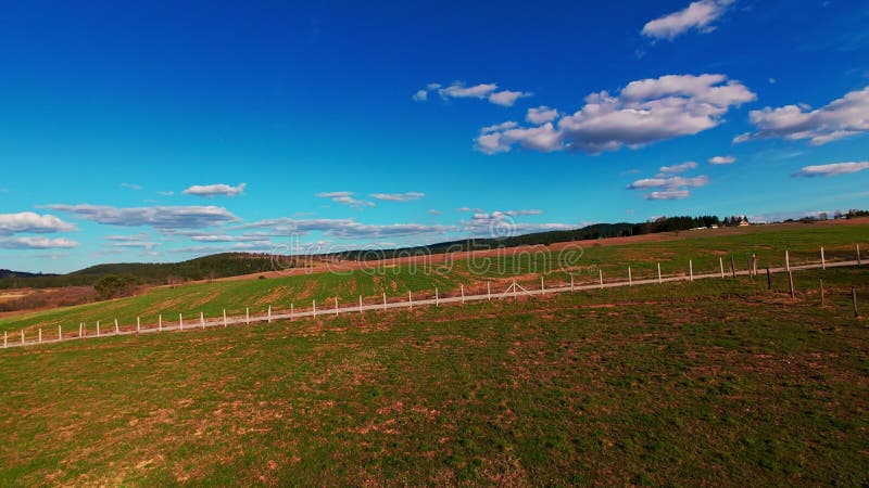Vidéo verticale FPV drone vue banque sur des champs verts vibrants et campagne ondulante sous ciel bleu vif avec clips vidéos