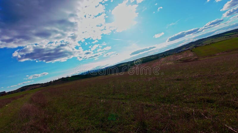 Vidéo verticale FPV drone vue banque sur des champs verts vibrants et campagne ondulante sous ciel bleu vif avec banque de vidéos