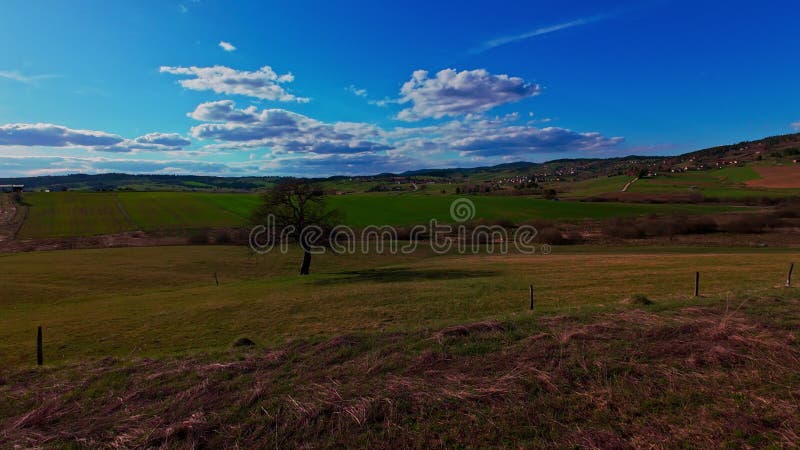 Vidéo verticale FPV drone vue banque sur des champs verts vibrants et campagne ondulante sous ciel bleu vif avec banque de vidéos