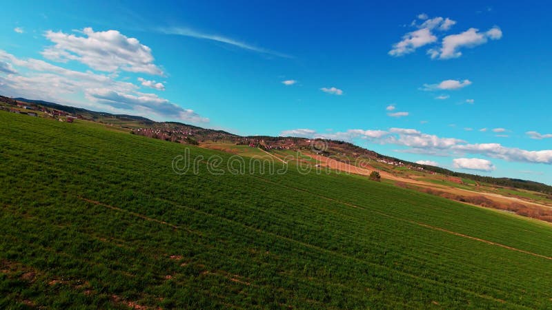 Vidéo verticale FPV drone vue banque sur des champs verts vibrants et campagne ondulante sous ciel bleu vif avec banque de vidéos