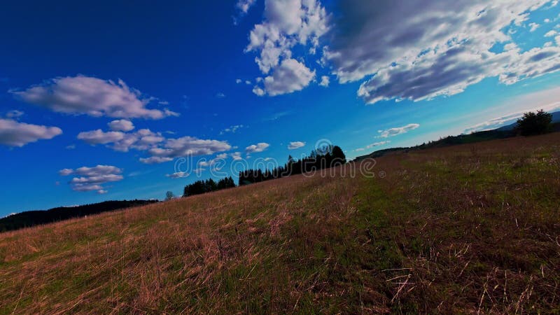 Vidéo verticale FPV drone vue banque sur des champs verts vibrants et campagne ondulante sous ciel bleu vif avec clips vidéos