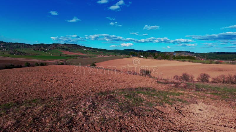 Vidéo verticale FPV drone vue banque sur des champs verts vibrants et campagne ondulante sous ciel bleu vif avec clips vidéos