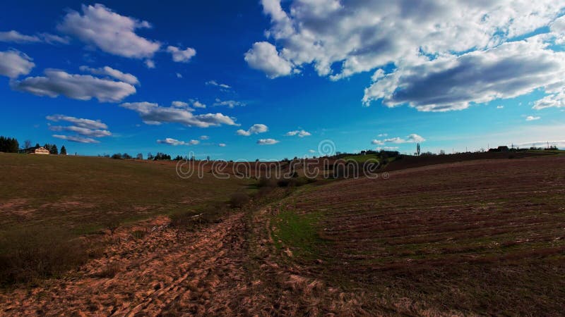 Vidéo verticale FPV drone vue banque sur des champs verts vibrants et campagne ondulante sous ciel bleu vif avec banque de vidéos