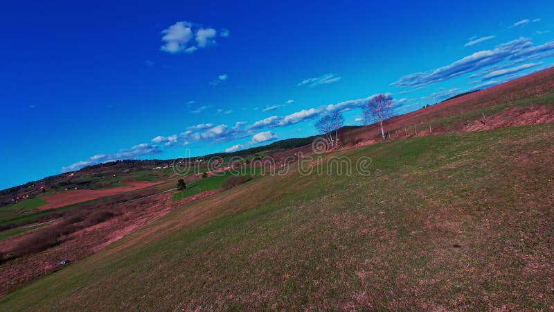 Vidéo verticale FPV drone vue banque sur des champs verts vibrants et campagne ondulante sous ciel bleu vif avec clips vidéos