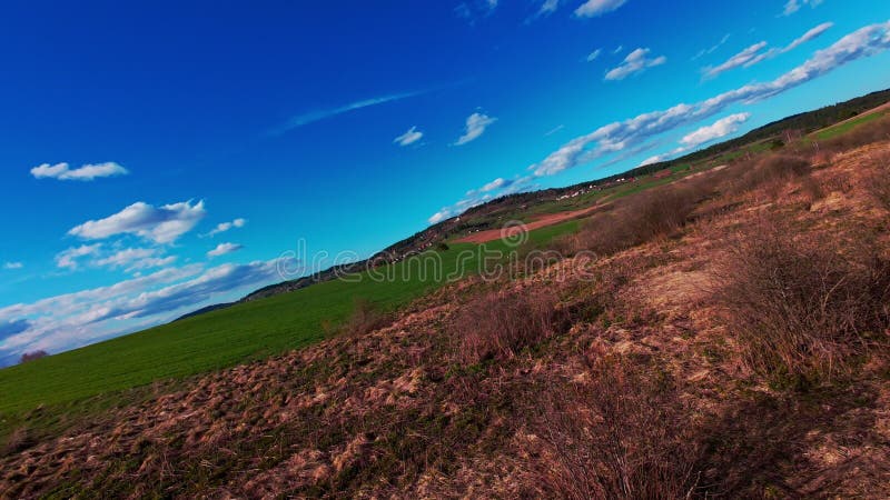 Vidéo verticale FPV drone vue banque sur des champs verts vibrants et campagne ondulante sous ciel bleu vif avec banque de vidéos
